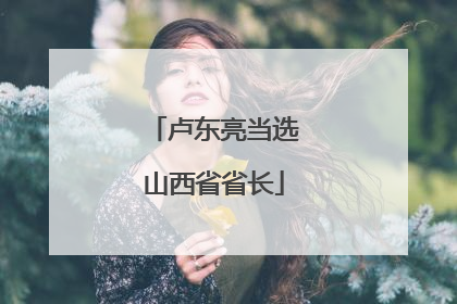 卢东亮当选山西省省长